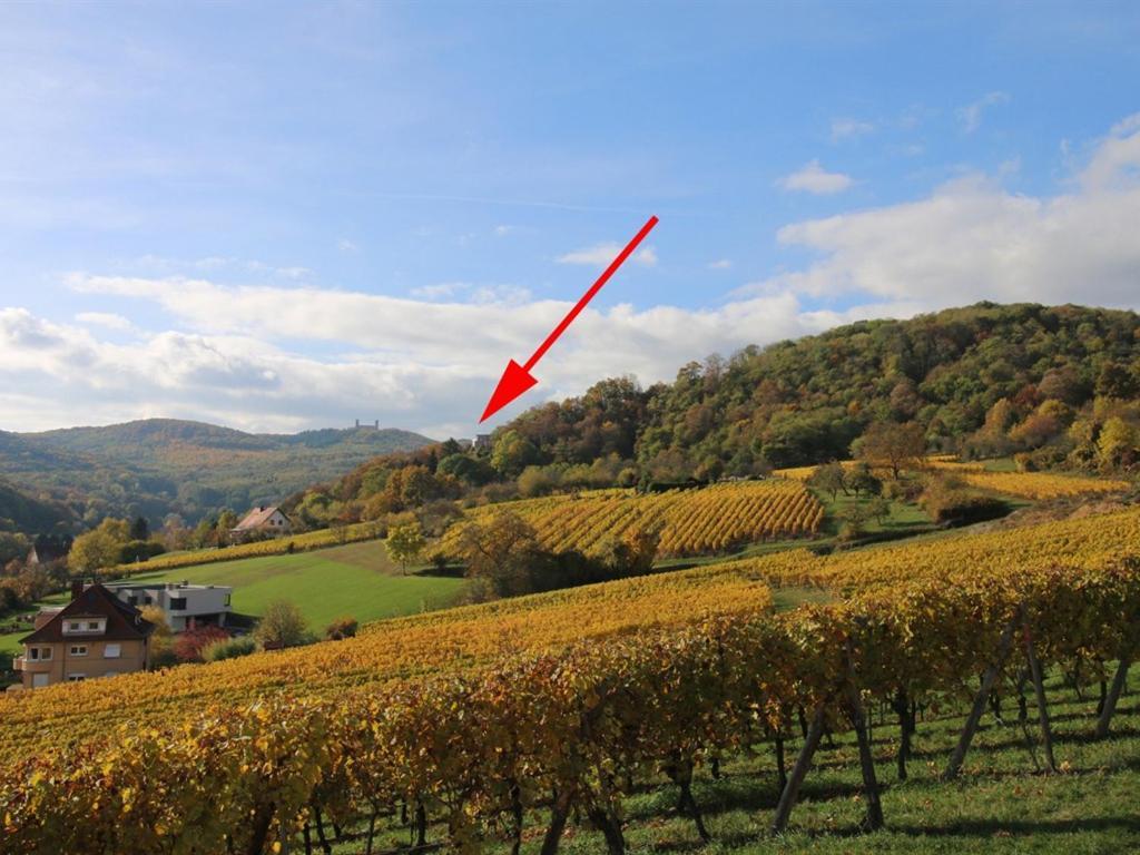 فيلا Alsace Panorama بارْ المظهر الخارجي الصورة