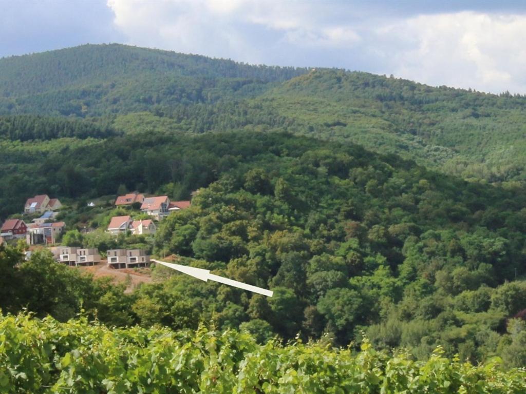 فيلا Alsace Panorama بارْ المظهر الخارجي الصورة