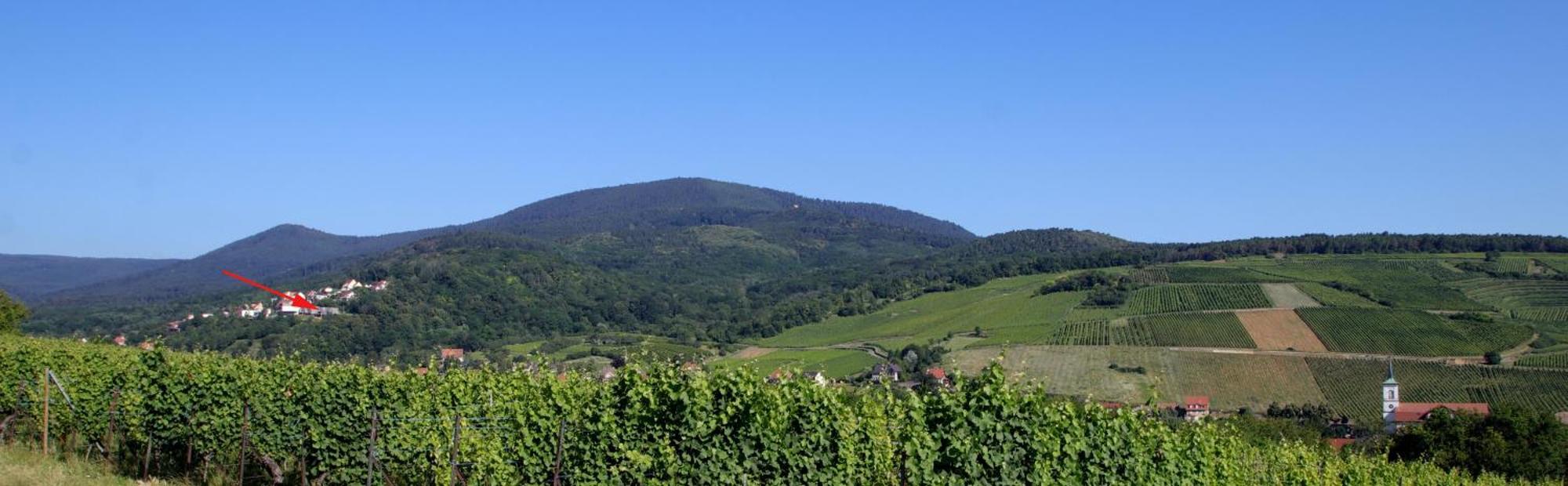 فيلا Alsace Panorama بارْ المظهر الخارجي الصورة