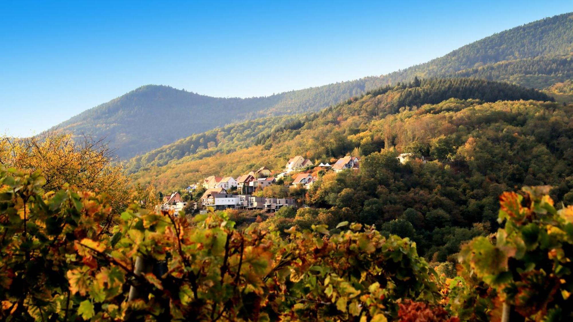 فيلا Alsace Panorama بارْ المظهر الخارجي الصورة