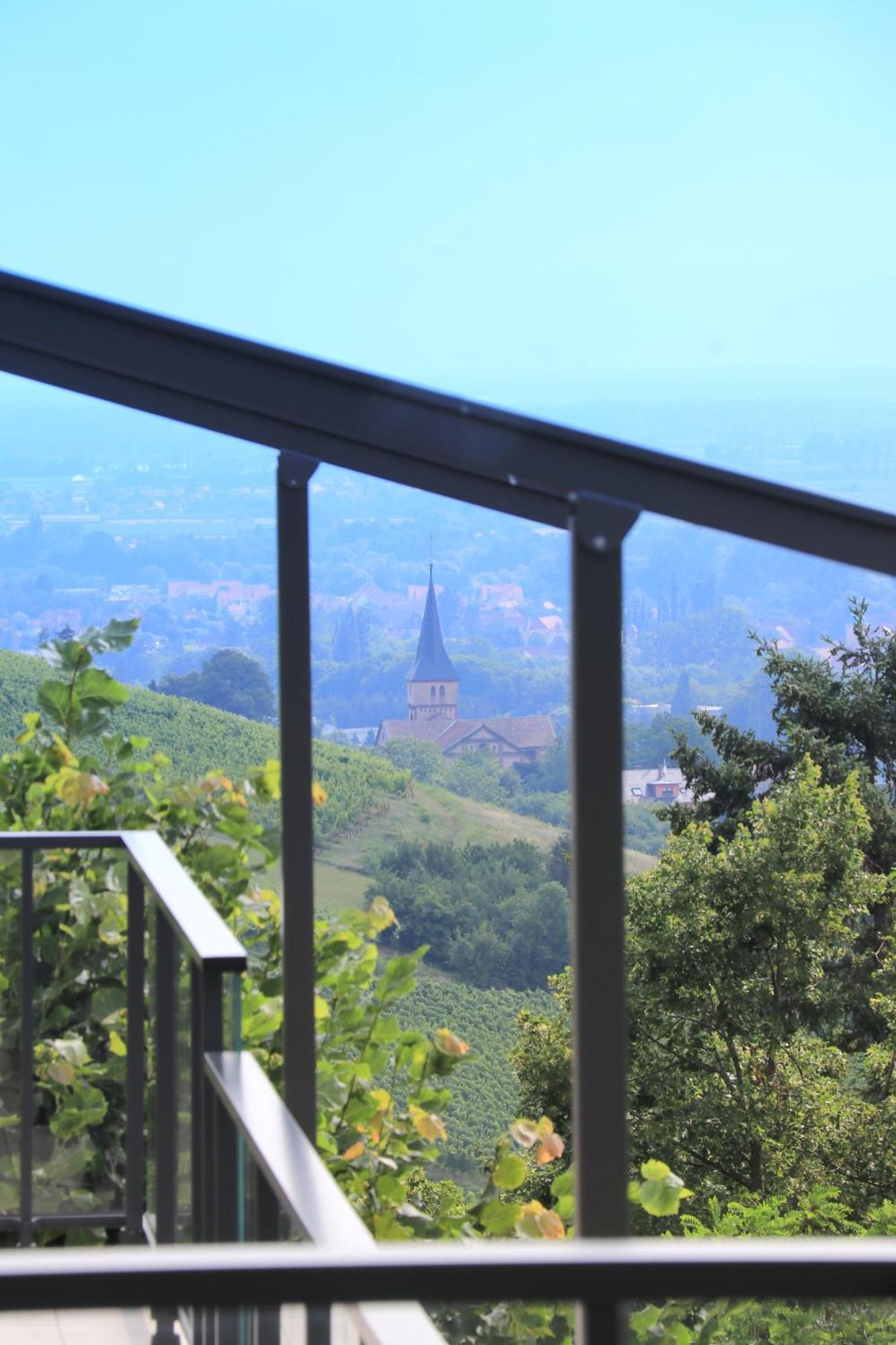 فيلا Alsace Panorama بارْ المظهر الخارجي الصورة